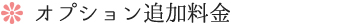 オプション追加料金